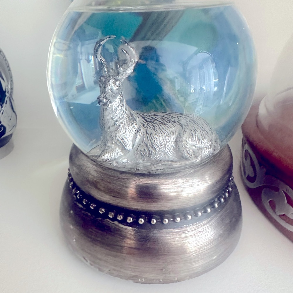 Snow globe ❄️☃️